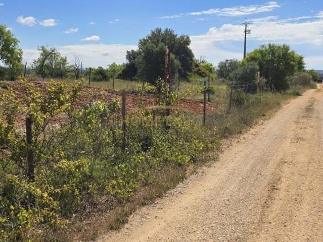 Fincas Rusticas 2 quarto, Silves Algarve DS101954551