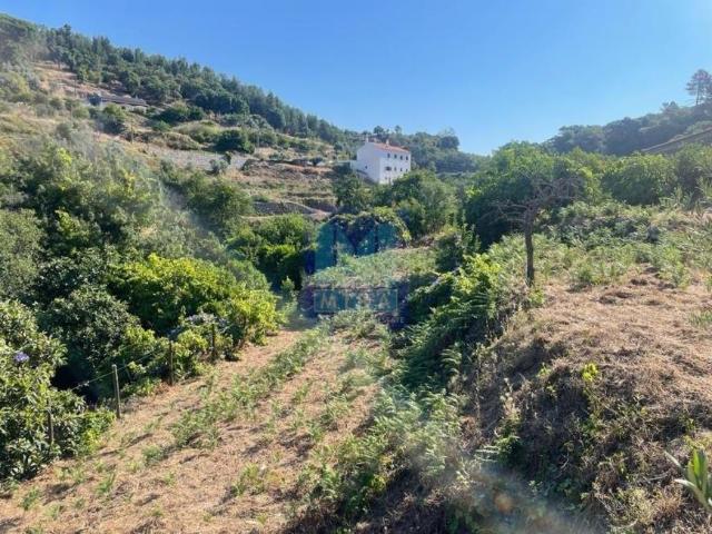 Fincas Rusticas 7 quarto, Monchique Algarve DLS73499298