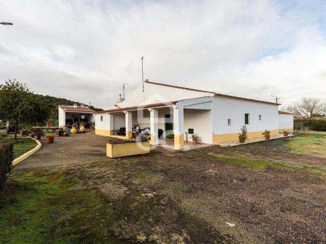 Fincas Rusticas 4 quarto, Estremoz Évora DS98364223