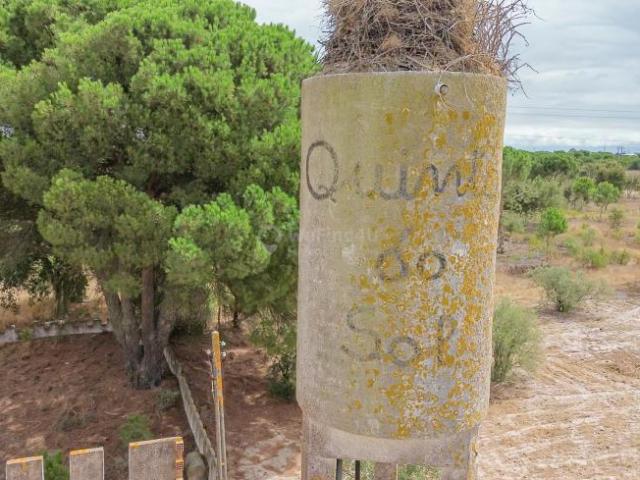 Fincas Rusticas 4 quarto, Montijo Setúbal DS94789644