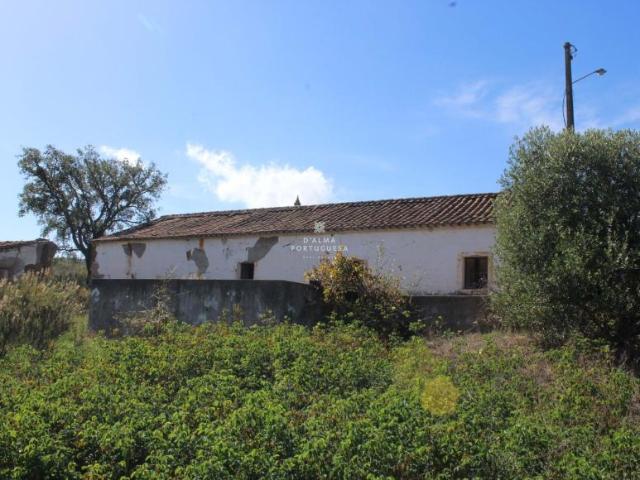 Fincas Rusticas 4 quarto, Silves Algarve DS85547004