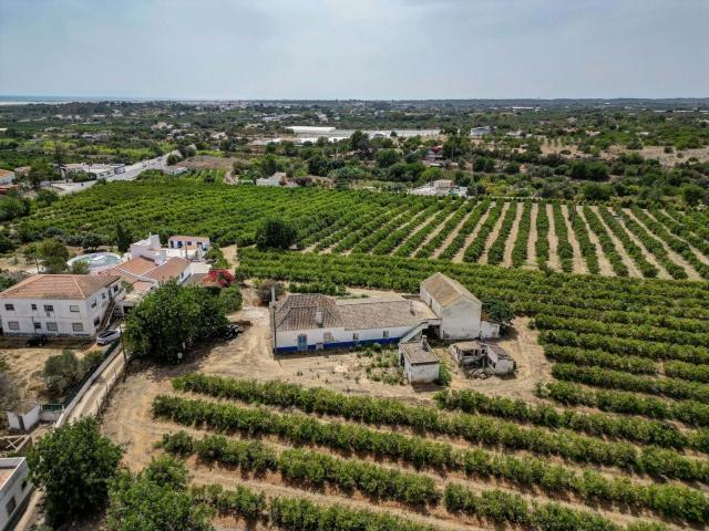 Fincas Rusticas 6 quarto, Luz de Tavira Algarve DS86085575