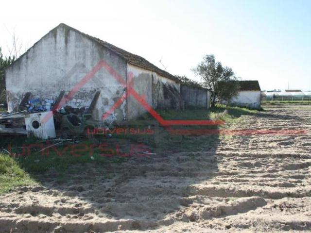 Fincas Rusticas 6 quarto, Montijo Setúbal DS66628909