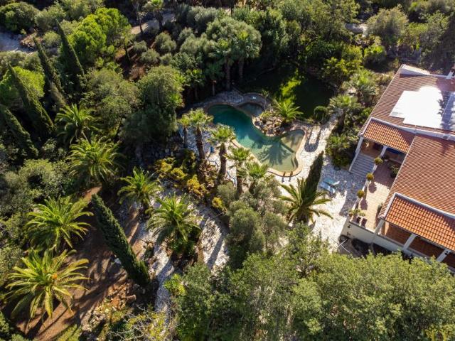 Fincas Rusticas 6 quarto, Tavira Algarve DS89012341