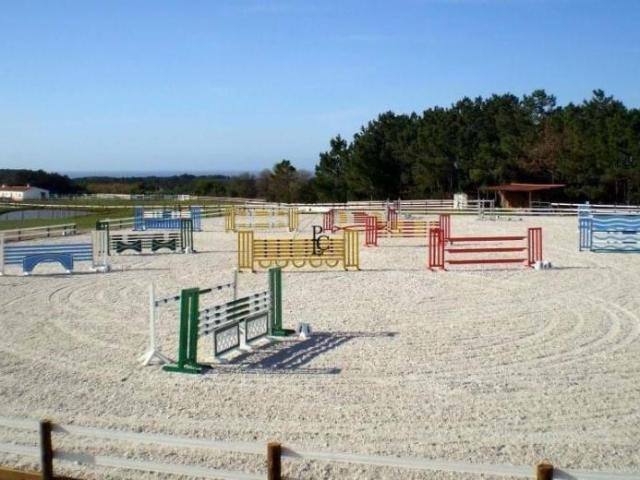 Fincas Rusticas 8 quarto, Odemira Beja DS98425979