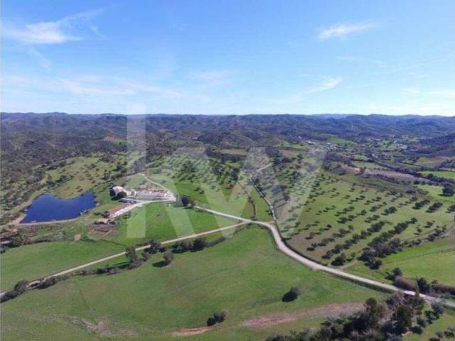 Fincas Rusticas 8 quarto, Silves Algarve DS79782717
