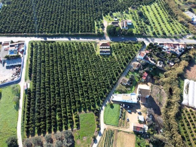 Fincas Rusticas 8 quarto, Vila Real de Santo António Algarve DLS98170430