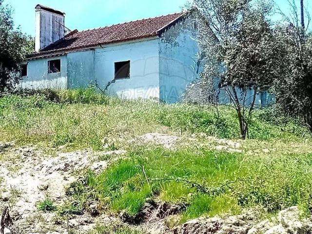 Fincas Rusticas Coruche Santarém DS101641448