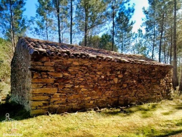 Fincas Rusticas Castelo Branco Castelo Branco DLS87474231