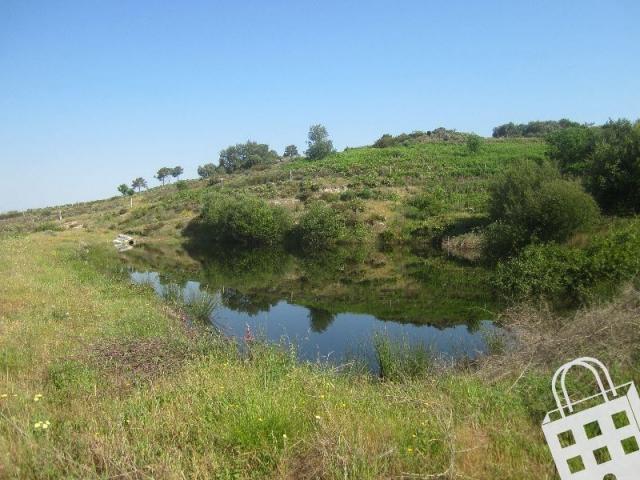 Fincas Rusticas Chaves Vila Real DLS66629659