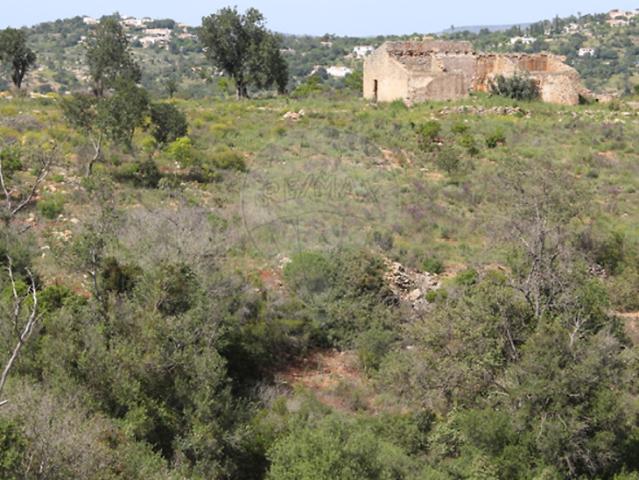Fincas Rusticas Albufeira Algarve DS102273282