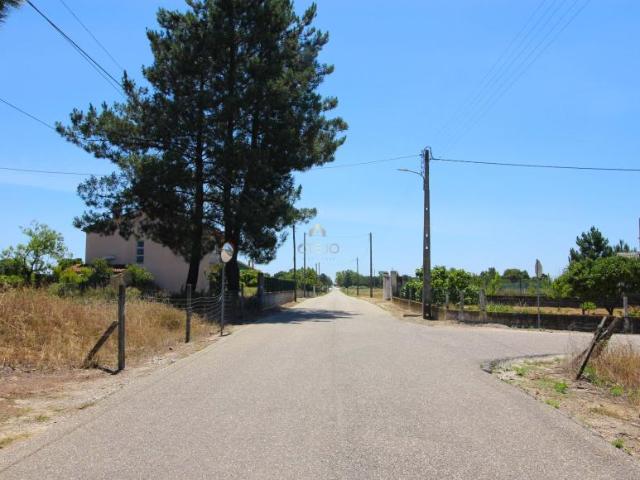 Fincas Rusticas Benavente Santarém DS94748714
