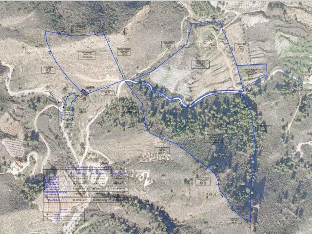 Fincas rústicas en paraje Campo López Aguaderas