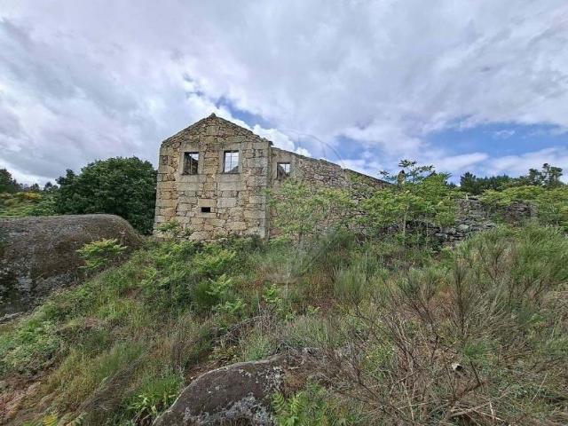 Fincas Rusticas Fornos de Algodres Guarda DS102245597