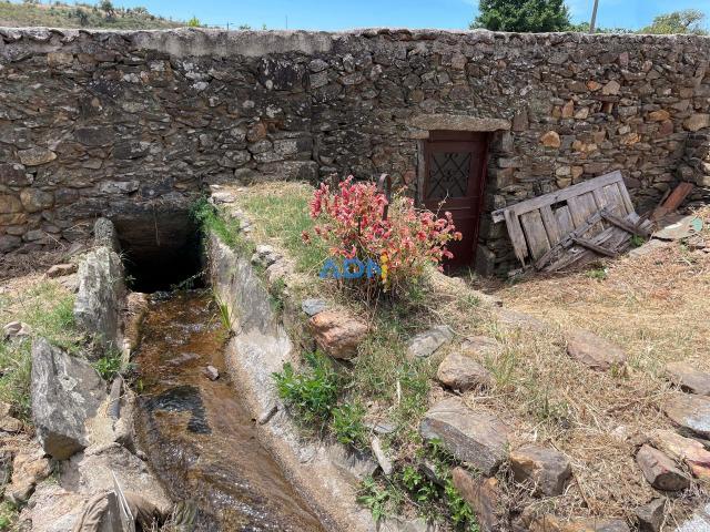 Fincas Rusticas Idanha Castelo Branco DLS73899135