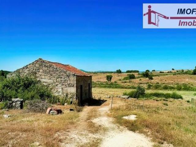 Fincas Rusticas Idanha Castelo Branco DS77298521