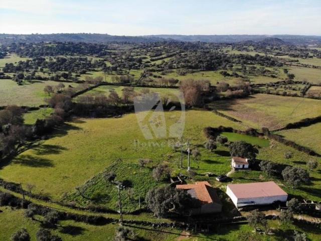 Fincas Rusticas Idanha Castelo Branco DS78384726