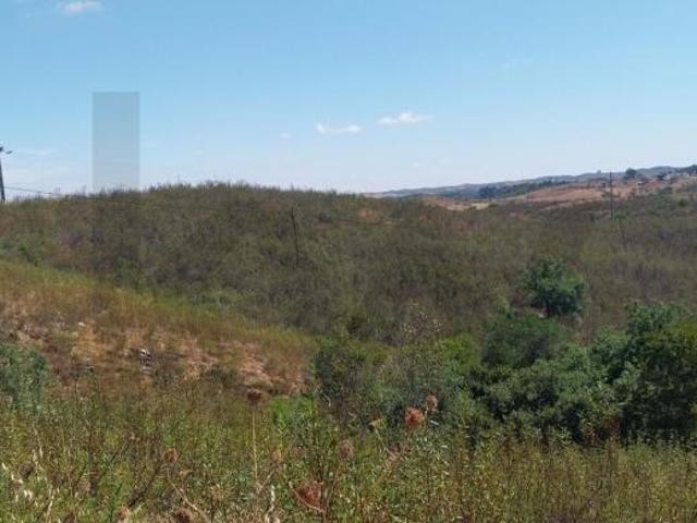 Fincas Rusticas Ourique Beja DS96086744