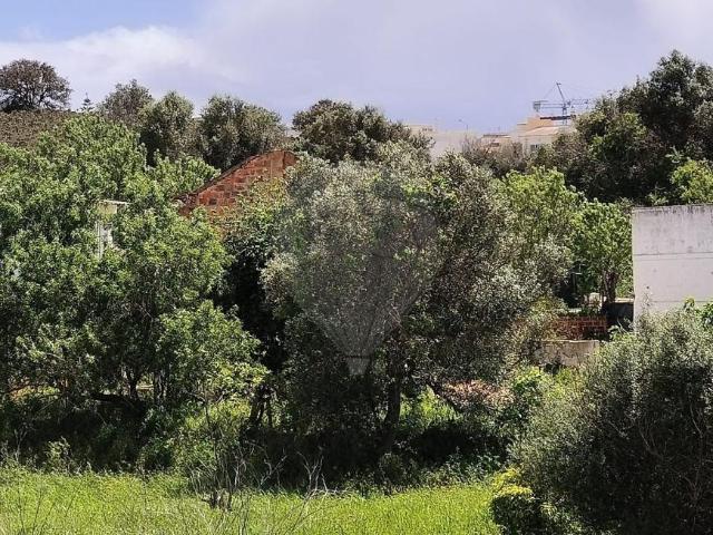Fincas Rusticas Lagoa Algarve DS102054077