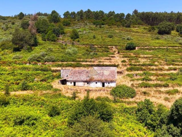 Fincas Rusticas Monchique Algarve DLS93655063