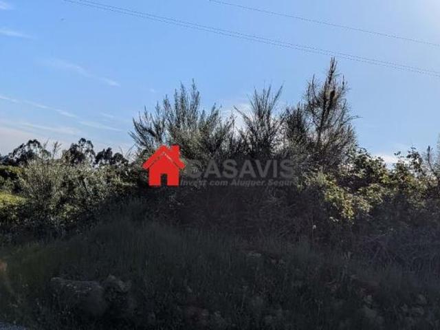 Fincas Rusticas Mangualde Viseu DLS100678458