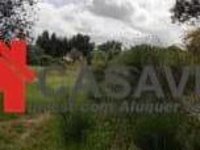 Fincas Rusticas Mangualde Viseu DS77495121