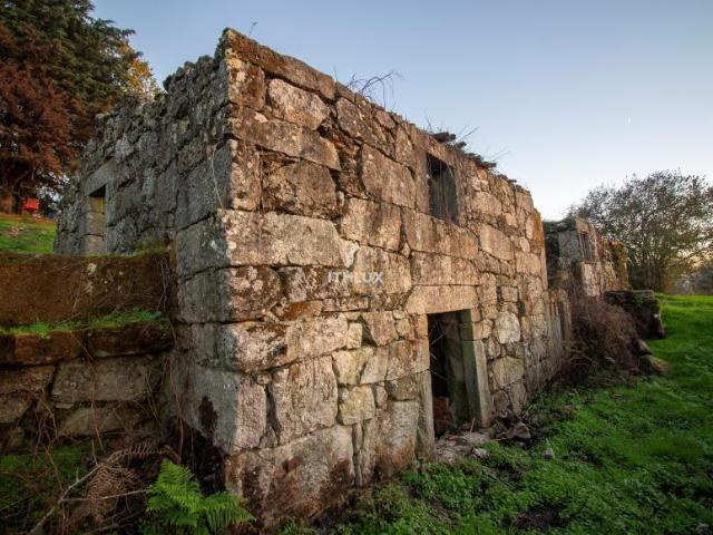 Fincas Rusticas Mangualde Viseu DS95981694