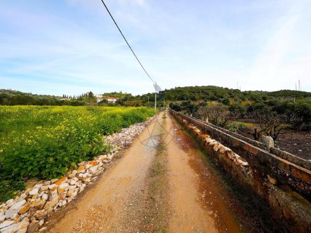 Fincas Rusticas Mexilhoeira Grande Algarve DS88381539