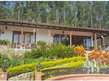 Fincas y Casas Campestres, Venta, Dagua