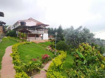 Fincas y Casas Campestres, Venta, Dapa