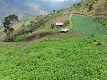 Fincas y Casas Campestres, Venta, El Cerrito