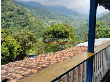 Fincas y Casas Campestres, Venta, Felidia