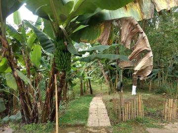 Fincas y Casas Campestres, Venta, La Elvira