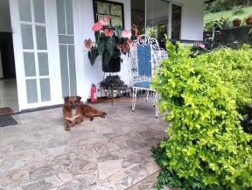Fincas y Casas Campestres, Venta, La Elvira