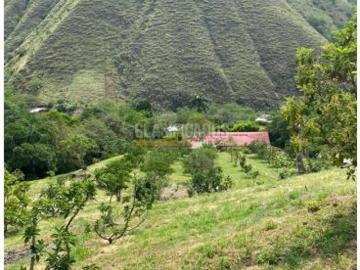 Fincas y Casas Campestres, Venta, Vijes
