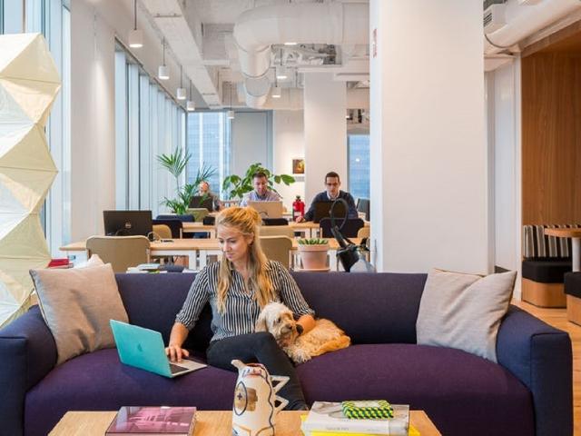Finding Office Space at Botanic Building in Quartier Brabant