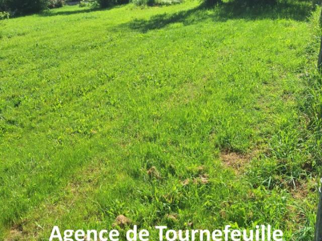 Finhan Vente Terrain 82