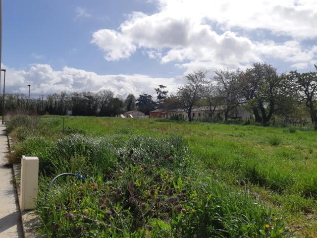 Finhan Vente Terrain 82