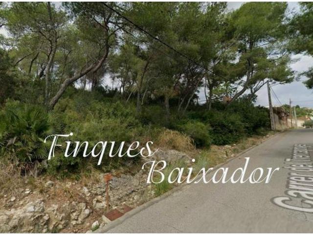 ¡FINQUES BAIXADOR PRESENTA ESTE SOLAR PARA CONSTRUIR TU CASA!