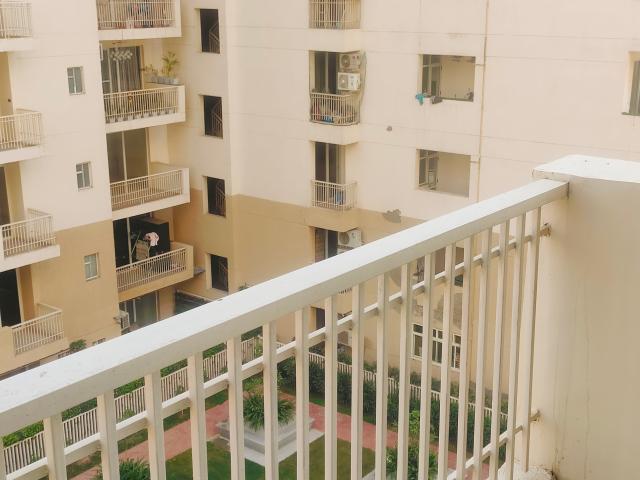 Fio Home 3 Bedroom 1450 Sq. Ft. Builder Floor in Dhakoli Zirakpur Listing ID: #10035