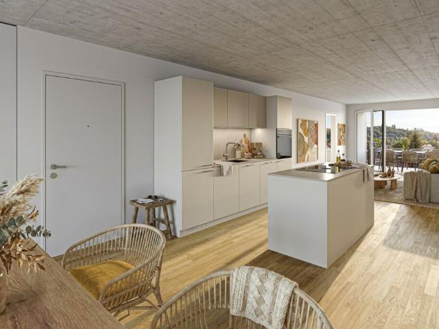 FIFTY Neubauwohnung im Aebi Areal