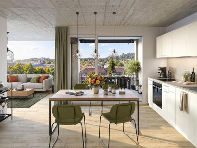 FIFTY Neubauwohnung im Aebi Areal