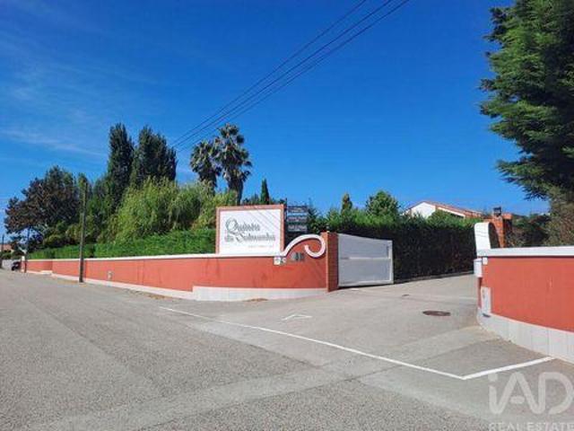 Figueira Da Foz Coimbra 94392446