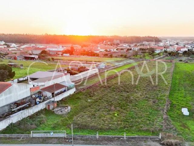 Figueira da Foz Figueira da Foz 96848919