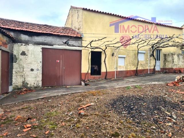 Figueiró dos Vinhos Figueiró dos Vinhos 101009075