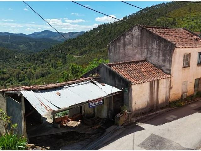 Figueiró dos Vinhos Figueiró dos Vinhos 101065012