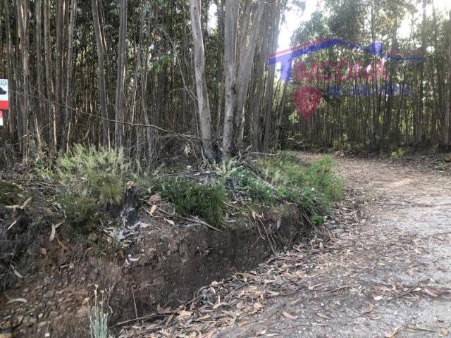Figueiró dos Vinhos Figueiró dos Vinhos 92130255
