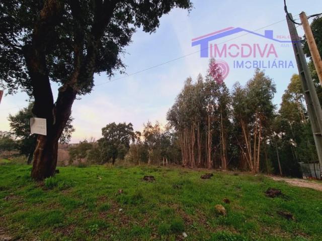 Figueiró dos Vinhos Figueiró dos Vinhos 95984563
