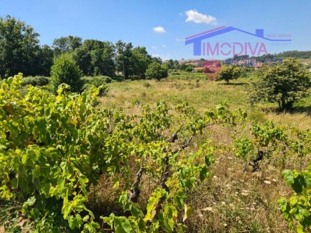 Figueiró dos Vinhos Figueiró dos Vinhos 95984578