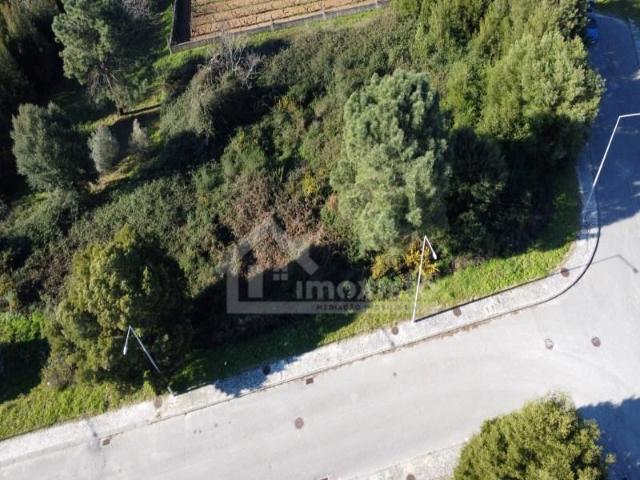 Figueiró dos Vinhos Figueiró dos Vinhos 97118005